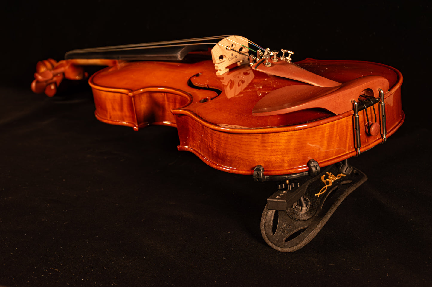 Viola - SoliRest